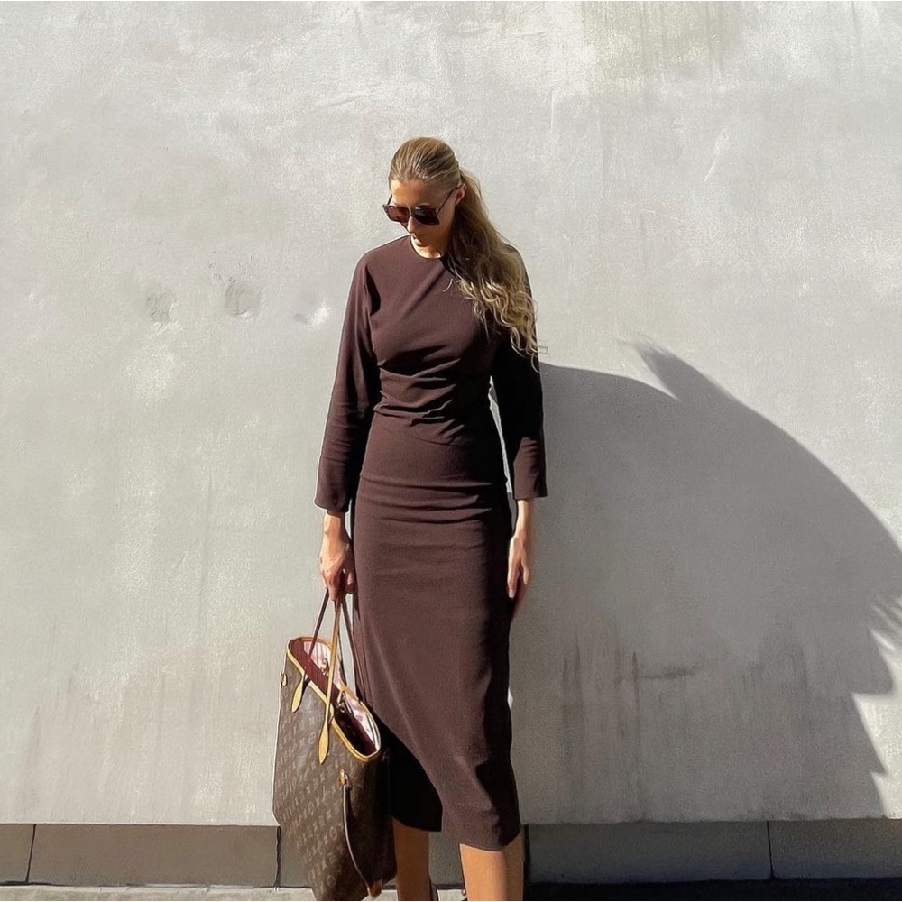 Zara Brown Ruched Waist Midi Dress